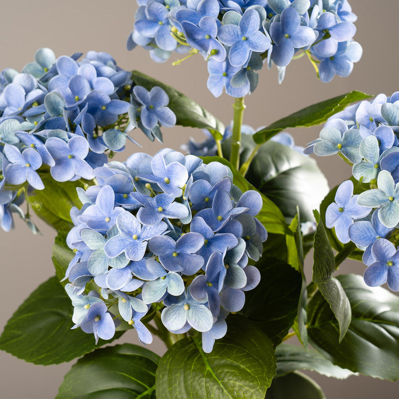 53cm Real Touch Blue Mophead Hydrangea